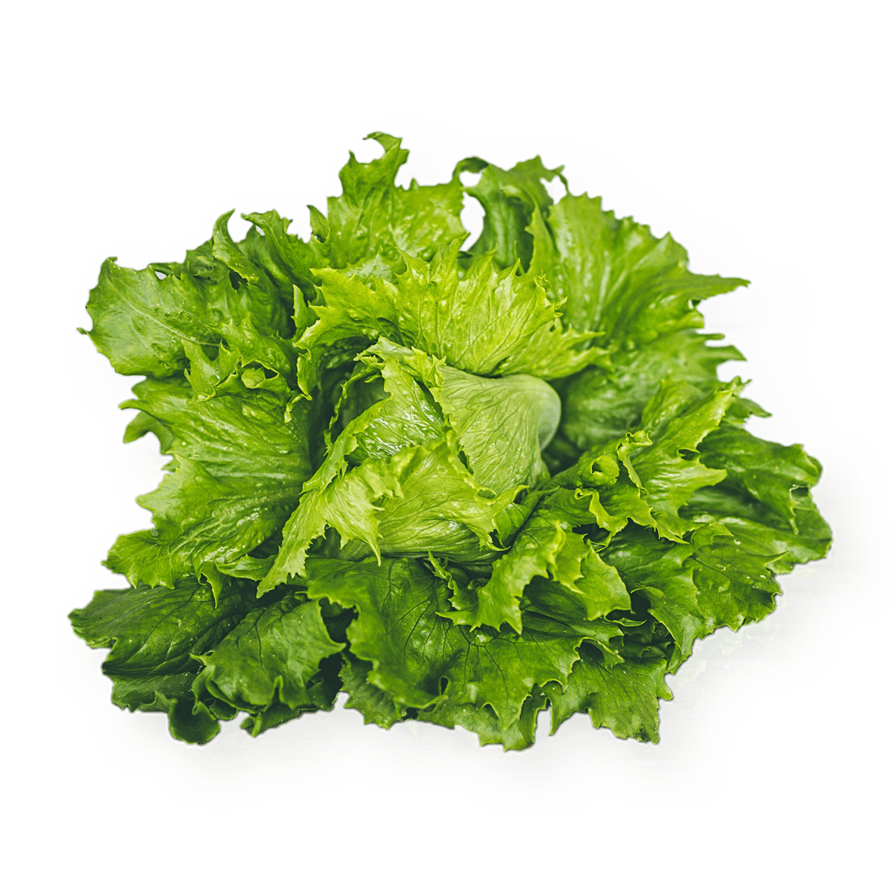 tostibanaan-salades-categorie